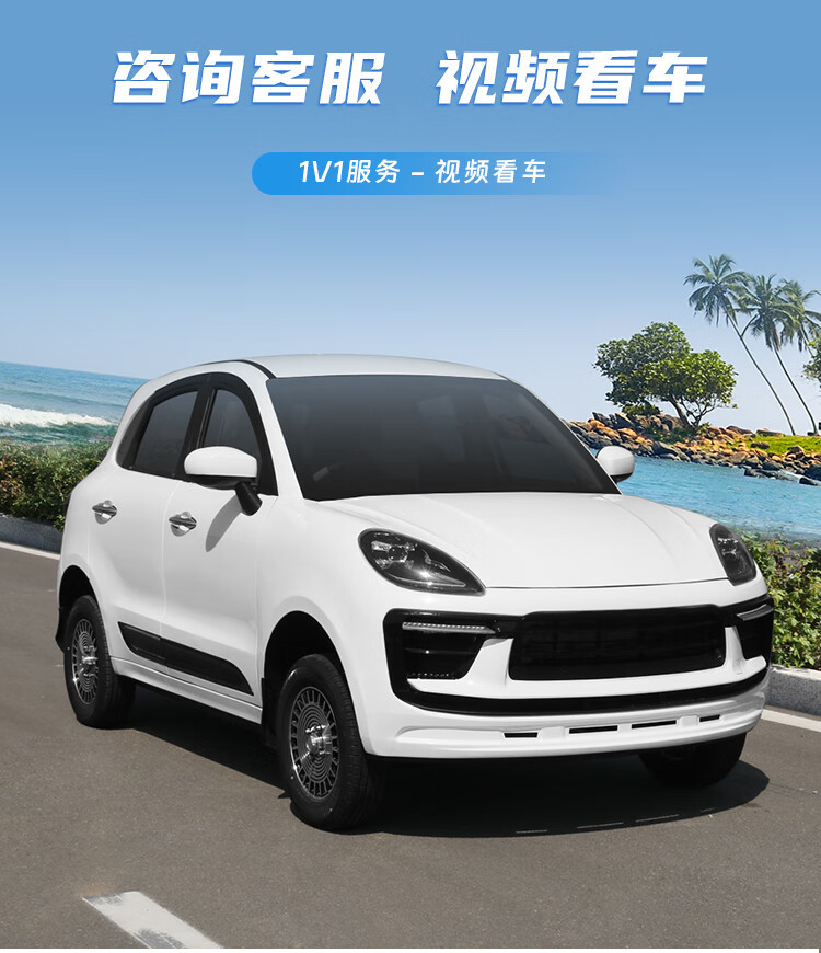 卡宴电动车老代步家用油电两用女士代步新能源电瓶轿车电动四轮车