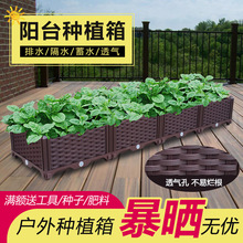 种植 特大阳台蔬菜种植箱 家庭长方形种菜盆 花箱花盆花槽