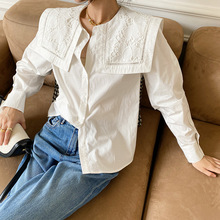 春季新款式白衬衫女长袖法式设计感大翻领气质通勤韩版女式衬衣