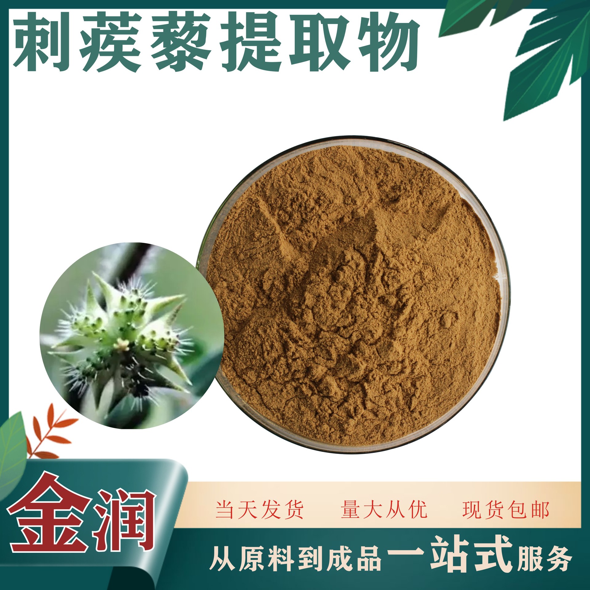 刺蒺藜提取物301刺蒺藜皂甙蒺藜提取物1kg装比例提取物现货