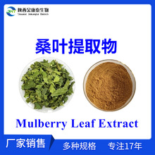 桑叶提取物10:1水溶桑叶粉桑叶浓缩粉蚕叶粉MulberryLeafExtract