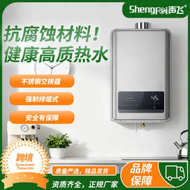 跨境外贸家用燃气热水器天然气煤气恒温即热舒适安全12升13升16升