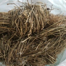 寮刁竹 全草 辽刁竹 中草药材批发 徐长卿 逍遥竹 遥竹逍 1000g克