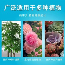 德国花病康喷剂杀菌喷雾植物通用季兰花卉多肉炭疽白粉灰霉黑斑病