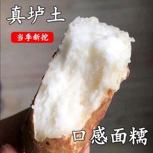 【顺丰直发】垆土温县铁棍山药河南焦作新鲜正宗红皮纯天然整箱