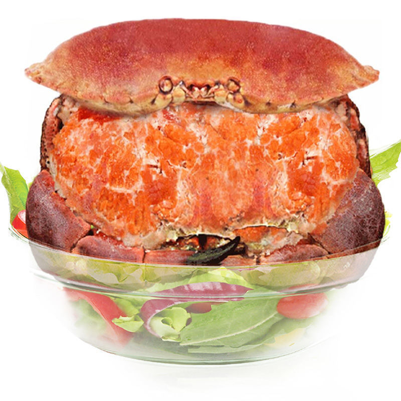 【满黄大蟹】 鲜活冷冻面包蟹鲜活熟冻海鲜满黄 黄道蟹