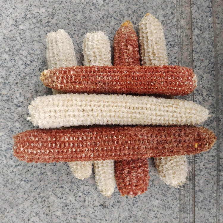 供应玉米轴 抛光玉米芯 压块玉米芯 菌类载体 箱包玩具填充