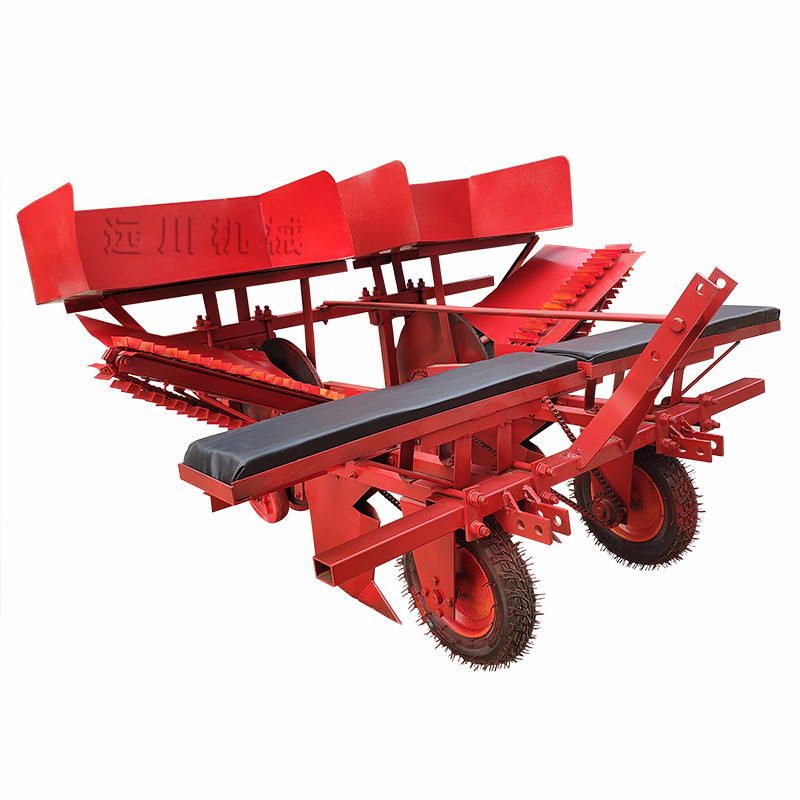 远川牌大葱移栽机 双行四行大葱种植机 葱苗移栽设备 自动插葱机