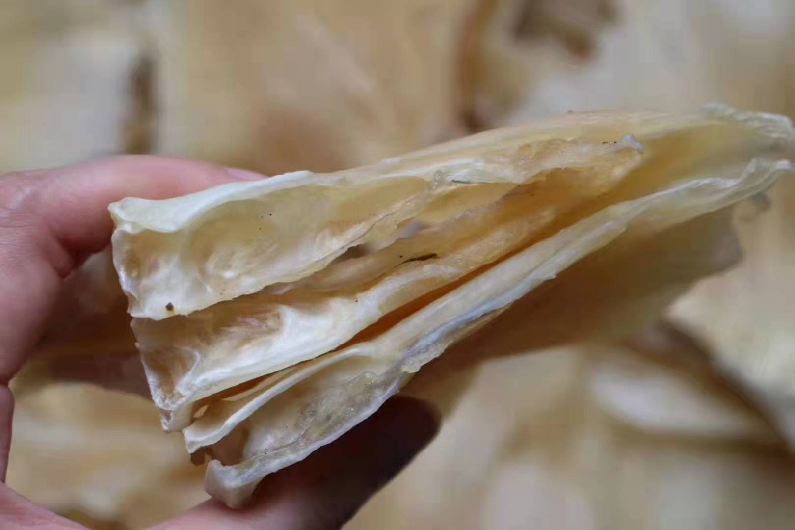 批发渔家自晒鳐鱼翅浦鱼翅鲽鱼翅天海狗鱼翅煲汤材料海产干货500g