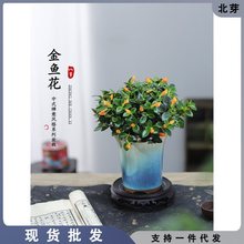 金鱼花盆栽吊兰客厅室内桌面绿植花卉多肉植物绿萝发财树四季好养