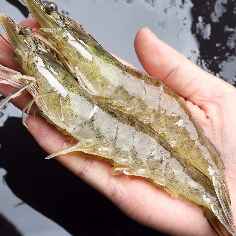 大虾3人团寰球渔市厄瓜多尔白虾特大海虾虾非青岛活虾速冻整箱4斤