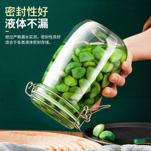 腊八蒜密封罐食品级家用玻璃瓶泡菜专用坛子咸菜糖蒜腌制小宁岑宁