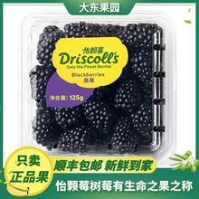 新鲜黑树莓2/4盒黑莓覆盆子稀有高端水果孕妇水果125克/盒云南