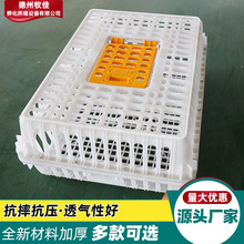 厂家直供 加厚型塑料家禽周转箱 大号家禽运输笼 塑料运输鸡笼