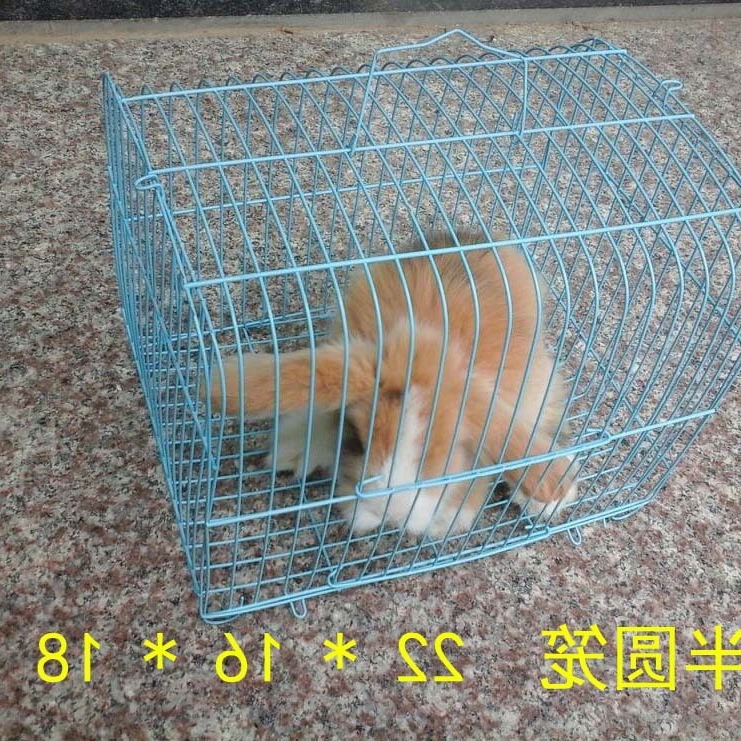 小兔子笼子手提铁丝小兔笼小兔笼笼小鸟笼鸽子笼猪运输笼批发包邮