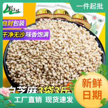 现炒熟白芝麻500g*3袋熟芝麻 干净免洗 即食 杂粮 非生芝麻包邮