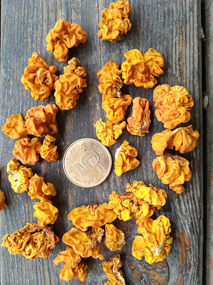 香格里拉野生金耳干货250克 云南黄耳银耳桃胶皂角米伴侣甜品食材