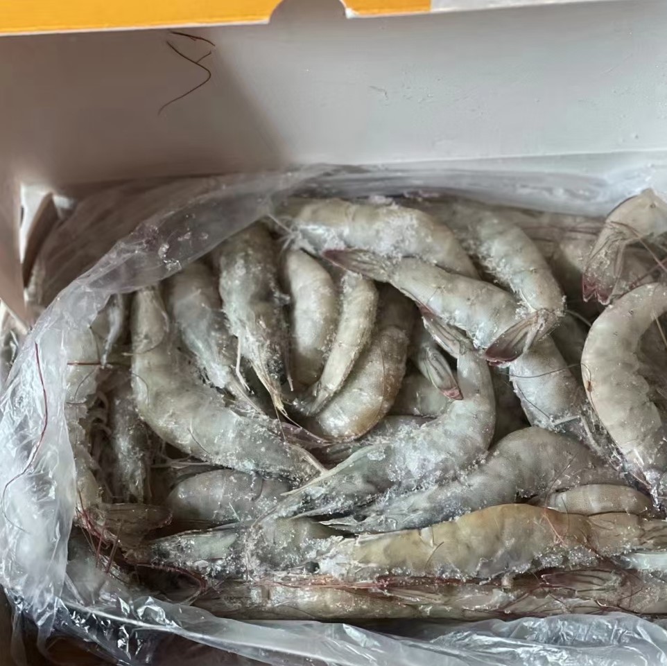 王牌盐冻4050厄瓜多尔白虾1.5kg对虾基围虾海捕虾青岛大虾海虾
