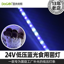 10W食用菌专用蓝光灯工厂化蘑菇房多层网架用 24V低压直流塑灯管