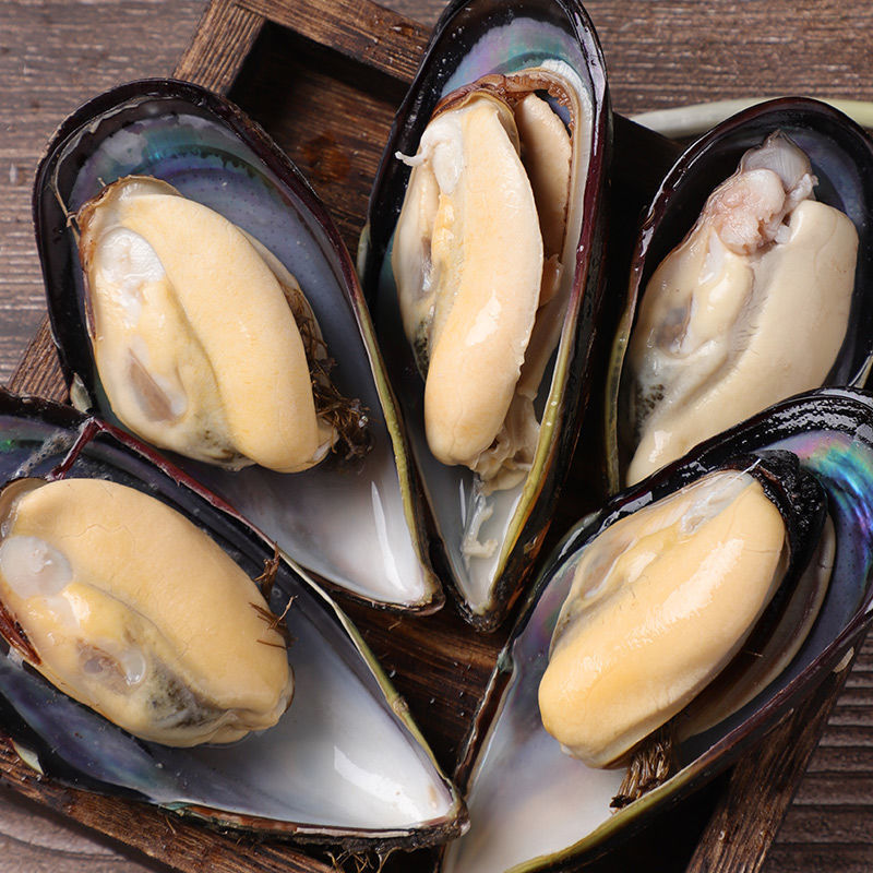 当天现捞新鲜无沙大海虹舟山野生贻贝青口贝当季鲜活淡菜冷链包邮