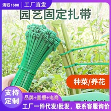 多功能园艺尼龙扎带捆扎线绿植爬藤蔓固定花架捆绑固定绑花神代发