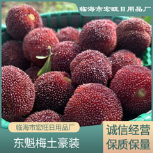 浙江东魁杨梅