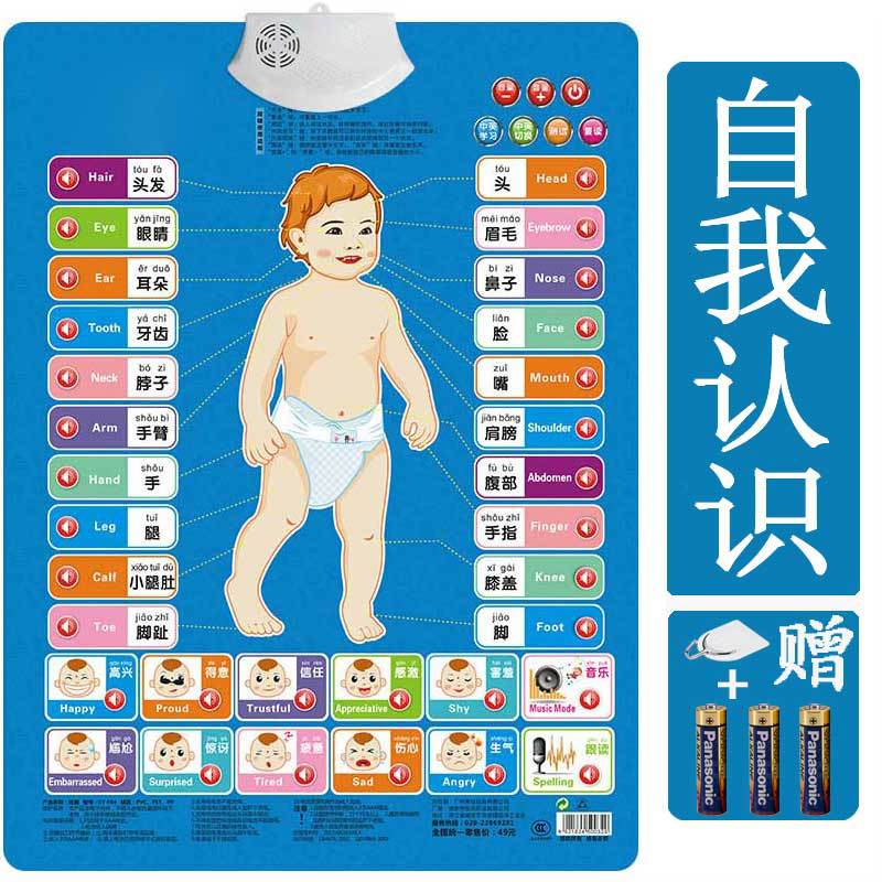 有声挂画宝宝认知身体部位发声挂图自我认知启蒙墙贴学说话拼音表