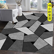 Washable Floor Lounge Rug Large Area Carpets for Living Room