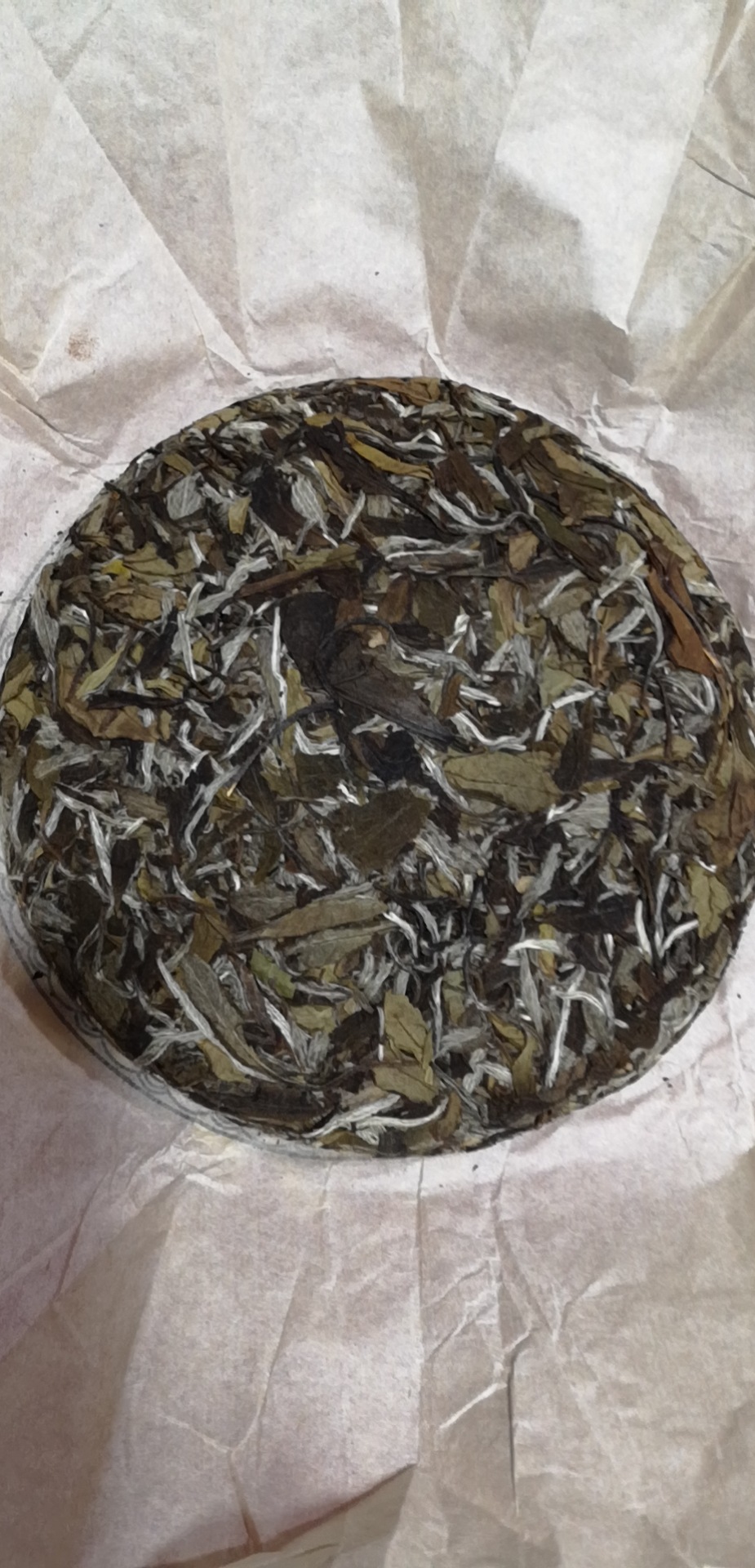 2017年福鼎的白茶白牡丹茶饼