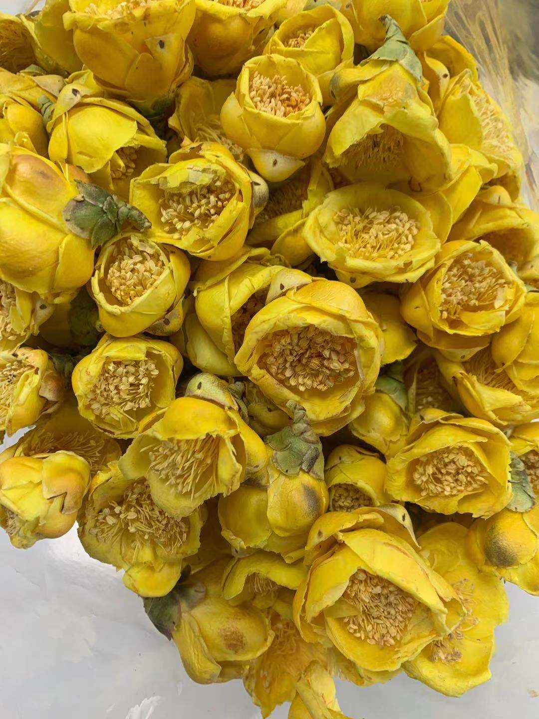 批发散装金花茶十万大山金花茶广西防城港金花茶干花现货