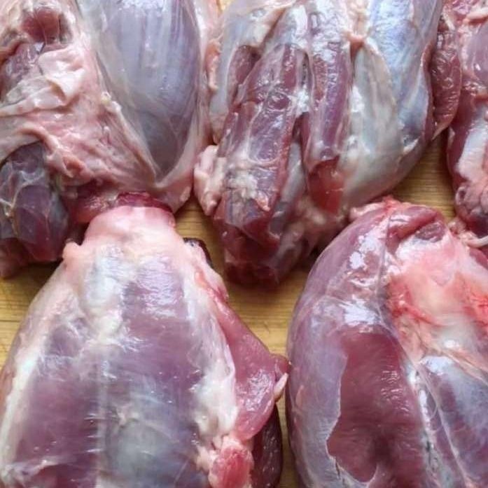 新鲜冷冻牛腱肉鲜牛肉牛龟腱子25/50斤阿兰那牛展龟腱子肉牛腱子