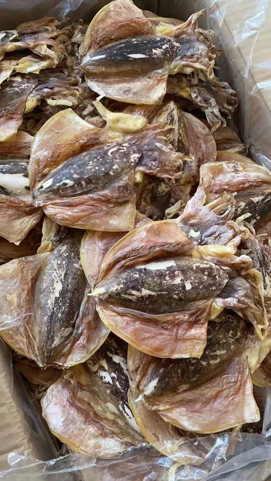 深海墨鱼干小墨鱼小目鱼墨鱼仔大量批发干墨鱼各种规格都有