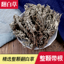 翻白草地骨皮中药材正品官方旗舰店翻百草泡水非野生天青地白草药