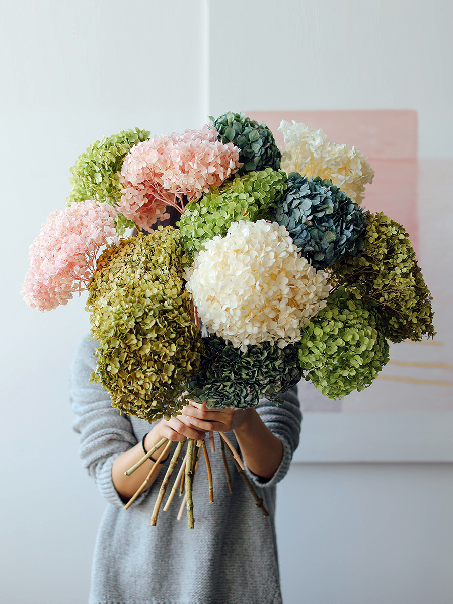 安娜小叶绣球花干花ins风干鲜花真花天然秋色大叶吊顶装饰花