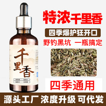 千里香钓鱼小药竞技黑坑野钓诱鱼剂秋冬天冷钓鲫鱼鲤鱼药酒