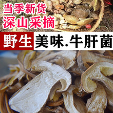 云南大理牛肝菌干片500g干牛肝菌干货新鲜菌菇类蘑菇野生菌煲汤料