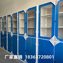 实验室铝木仪器柜阶梯药品柜试剂器皿柜全木仪器柜铁皮柜PP仪器柜