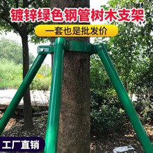 树木支撑架园林绿化防风防倒支架扶树大树固定器铁抱箍苗木支撑杆