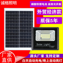 惠民太阳能投光灯新农村壁挂路灯太阳能庭院灯户外太阳能壁灯500W