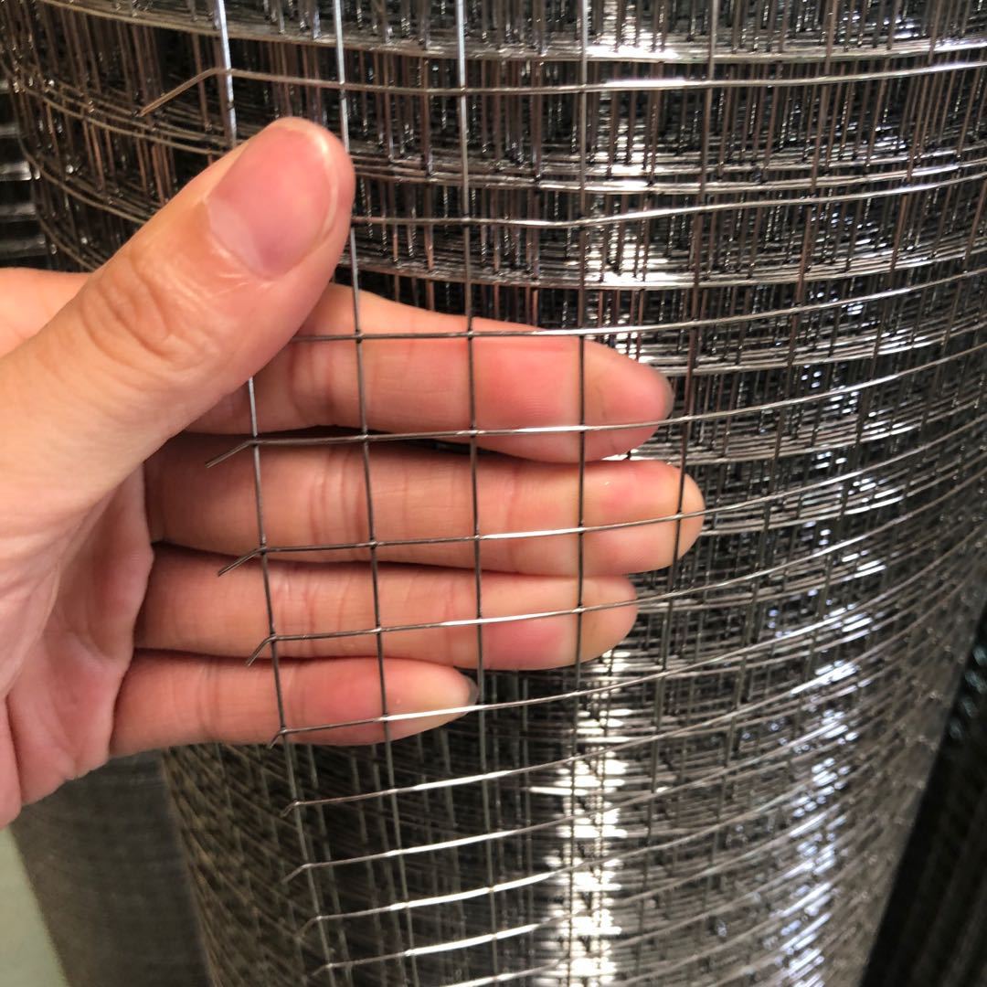 供应山东潍坊热镀锌电焊网工地抹灰网建筑批荡挂网中小丝电焊网