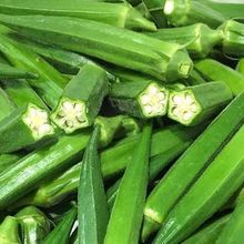 【现货速发】鲜嫩秋葵新鲜蔬菜即食农家羊角豆水果黄秋葵现摘现发