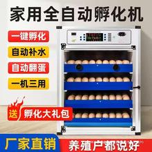 【厂家直销】孵化机中小型家用全自动小鸡孵化器芦丁鸡孵蛋器鸡蛋
