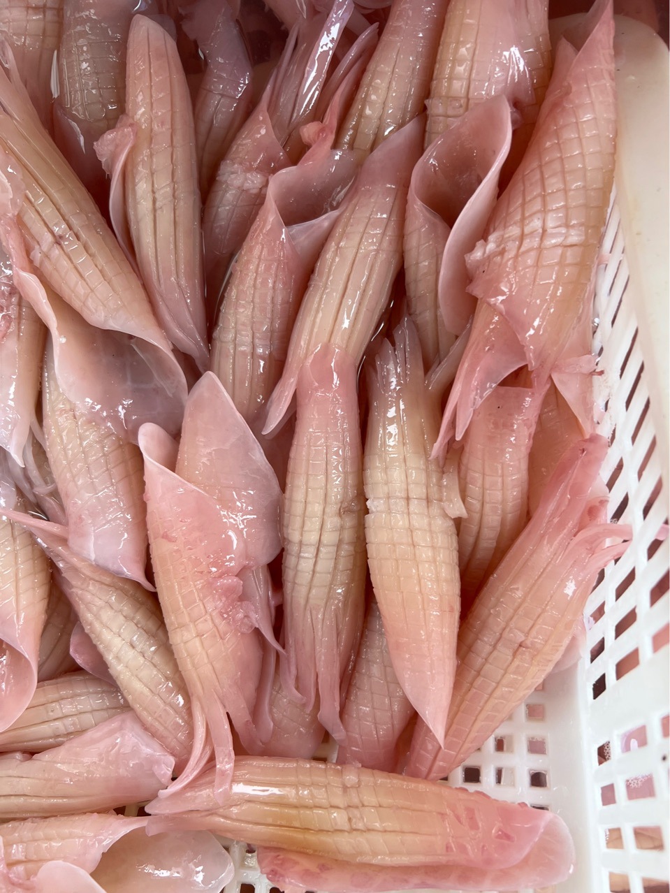 网红火箭鱿鱼 四川火锅食材 自助餐厅 凉卤等食材-阿里巴巴