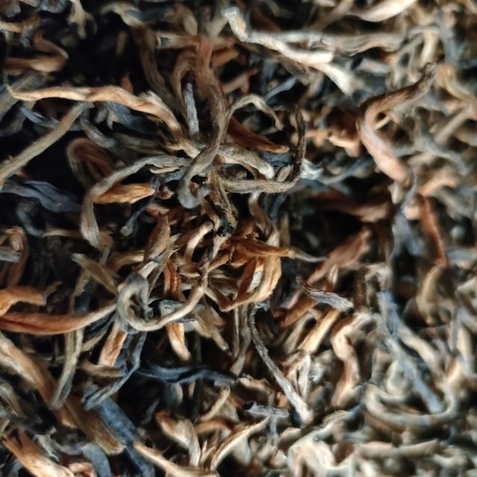 云南凤庆滇红茶特级1号古树散装茶叶金针金丝一芽一叶蜜香滇红1斤