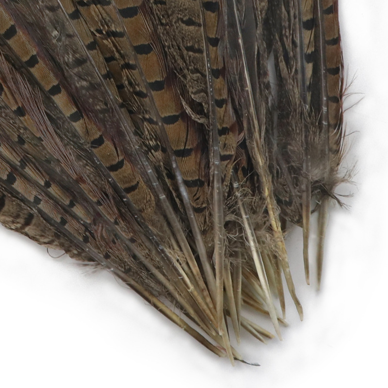 山鸡羽毛60-65自然色diy艺尾毛野鸡毛长羽毛演出翎子插花