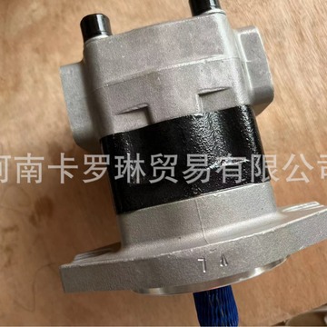 sgp1a25f2h9-l288c sgp1a25a2h9-r003c 适用于轮挖液压齿轮泵