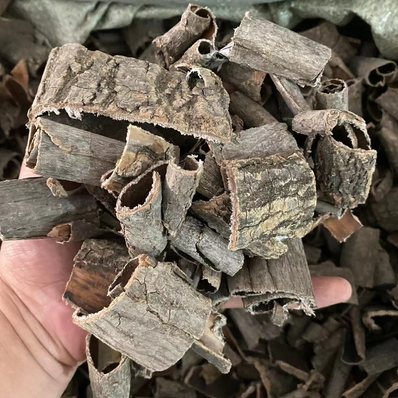 杜仲1000克【河南杜仲】新货 批发中药材现货供应【红亮中药】