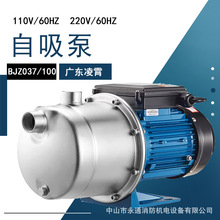 凌霄水泵110V/60HZ美规电压增游艺设备用水泵不锈钢自吸泵BJZ100