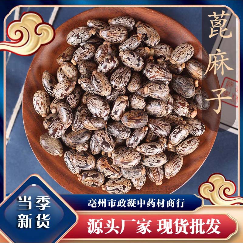 新货蓖麻子蓖麻籽500克包邮红大材蓖麻仁蓖麻种子麻子-阿里巴巴