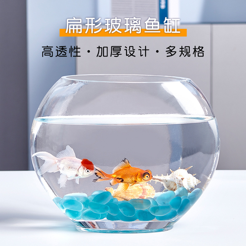 创意扁口玻璃鱼缸椭圆形 超白透明玻璃金鱼缸迷你水族箱小型桌面